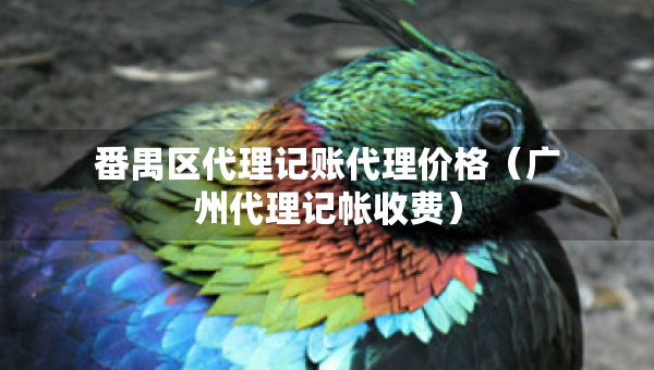 番禺区代理记账代理价格（广州代理记帐收费）