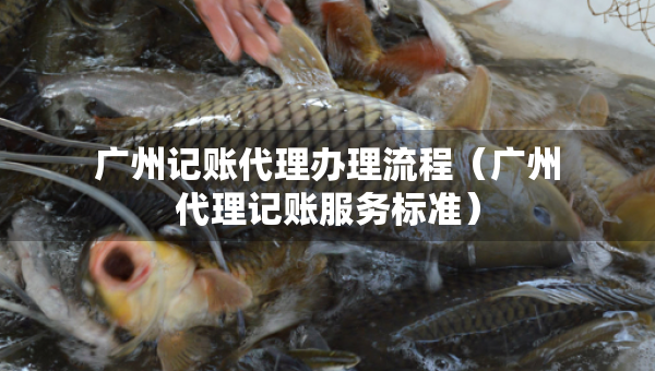 广州记账代理办理流程（广州代理记账服务标准）