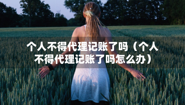 个人不得代理记账了吗（个人不得代理记账了吗怎么办）
