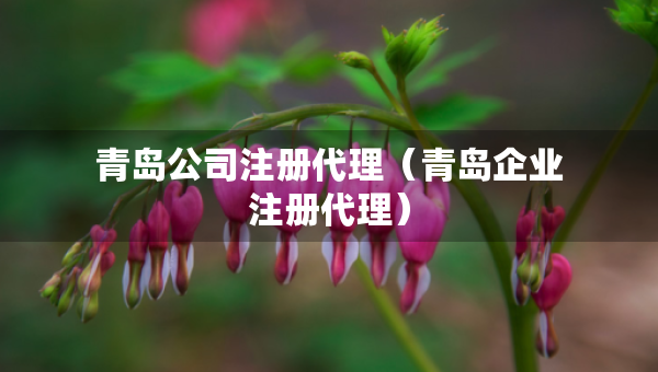 青岛公司注册代理（青岛企业注册代理）
