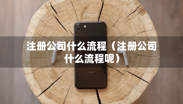 注册公司什么流程（注册公司什么流程呢）