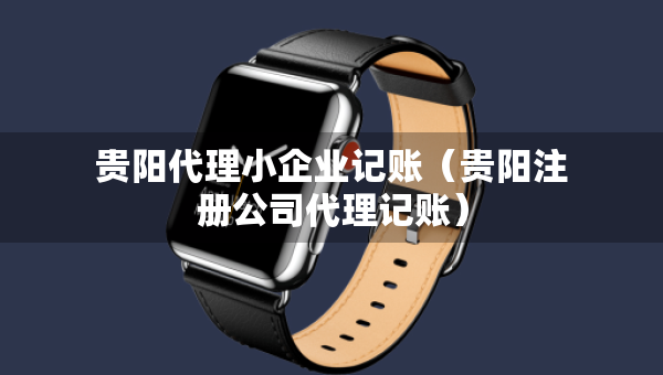 贵阳代理小企业记账（贵阳注册公司代理记账）