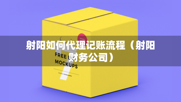 射阳如何代理记账流程（射阳财务公司）