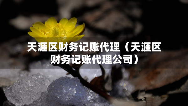 天涯区财务记账代理(天涯区财务记账代理公司) 天涯区财务记账代理(天涯区财务记账代理公司)