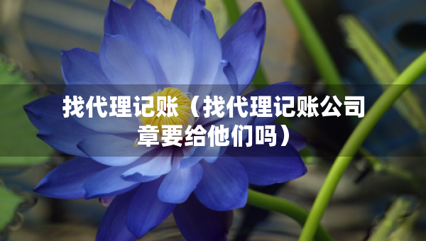 找代理记账（找代理记账公司章要给他们吗）
