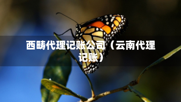 西畴代理记账公司（云南代理记账）
