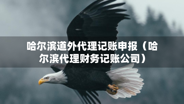 哈尔滨道外代理记账申报（哈尔滨代理财务记账公司）