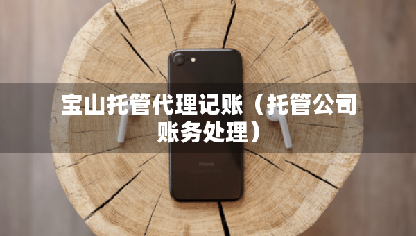 宝山托管代理记账（托管公司账务处理）