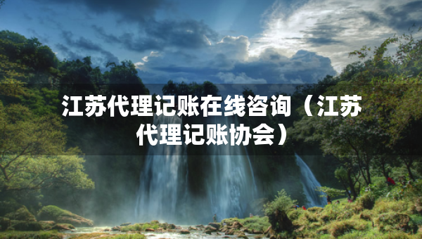 江苏代理记账在线咨询（江苏代理记账协会）