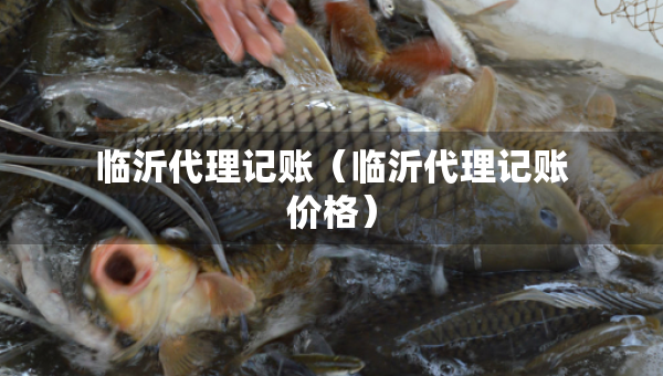 临沂代理记账（临沂代理记账价格）