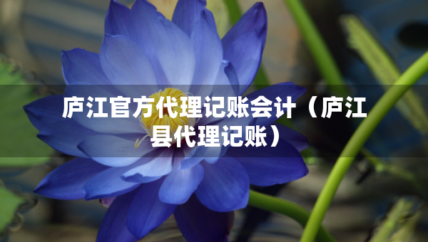 庐江官方代理记账会计（庐江县代理记账）