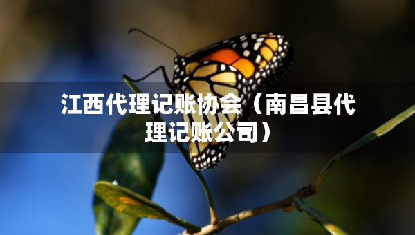 江西代理记账协会（南昌县代理记账公司）