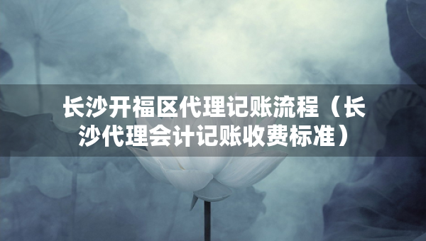 长沙开福区代理记账流程（长沙代理会计记账收费标准）