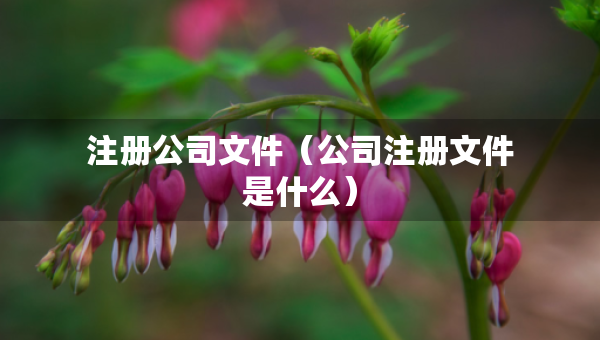 注册公司文件（公司注册文件是什么）