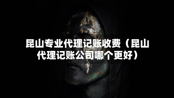 昆山专业代理记账收费（昆山代理记账公司哪个更好）