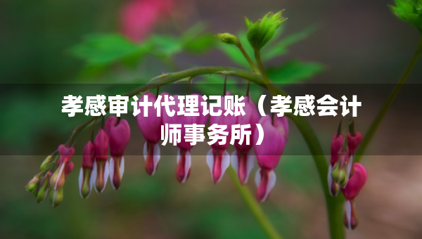 孝感审计代理记账（孝感会计师事务所）