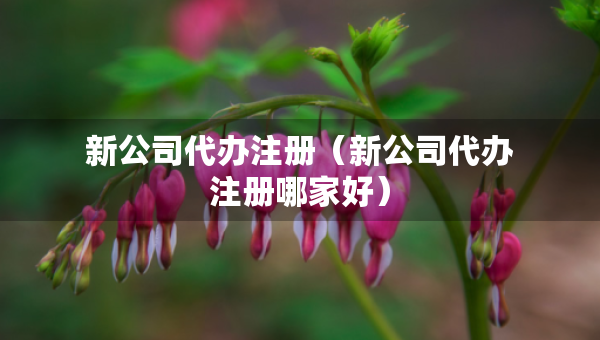 新公司代办注册（新公司代办注册哪家好）