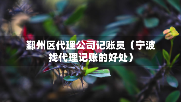 鄞州区代理公司记账员（宁波找代理记账的好处）