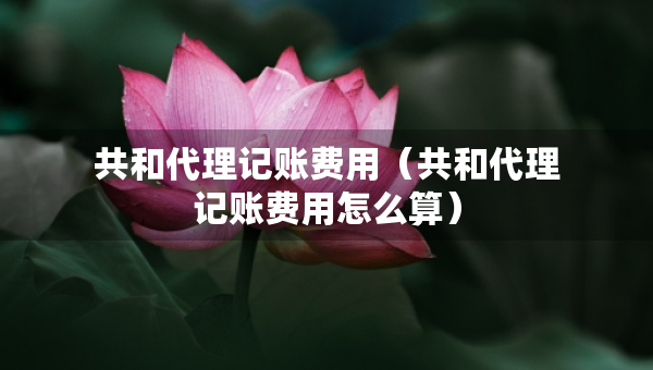 共和代理记账费用（共和代理记账费用怎么算）