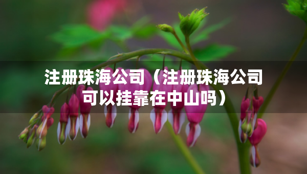 注册珠海公司（注册珠海公司可以挂靠在中山吗）