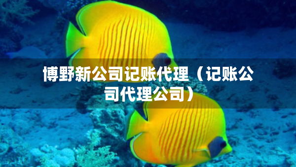 博野新公司记账代理（记账公司代理公司）