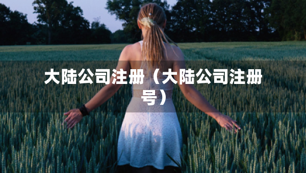 大陆公司注册（大陆公司注册号）