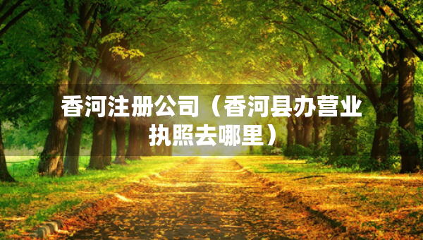香河注册公司（香河县办营业执照去哪里）