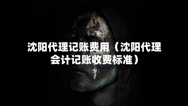 沈阳代理记账费用（沈阳代理会计记账收费标准）