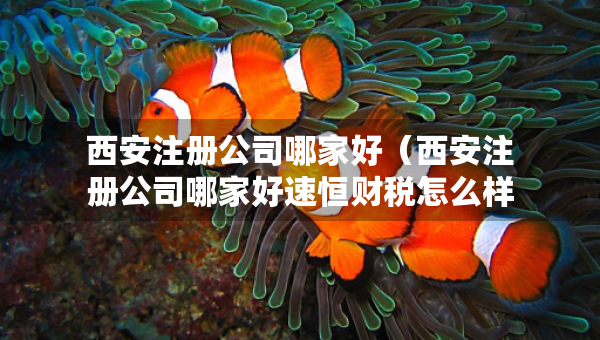 西安注册公司哪家好（西安注册公司哪家好速恒财税怎么样）