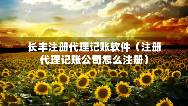 长丰注册代理记账软件（注册代理记账公司怎么注册）