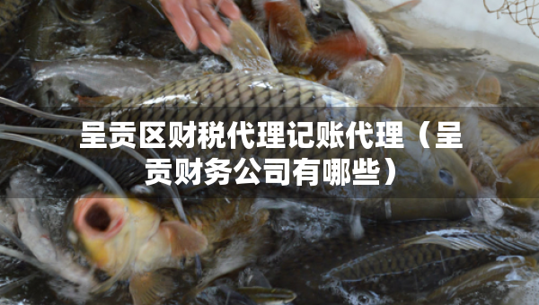 呈贡区财税代理记账代理（呈贡财务公司有哪些）