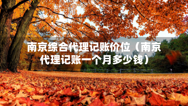 南京综合代理记账价位（南京代理记账一个月多少钱）