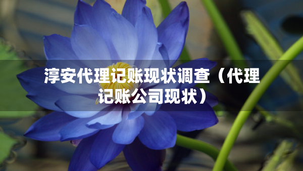 淳安代理记账现状调查（代理记账公司现状）