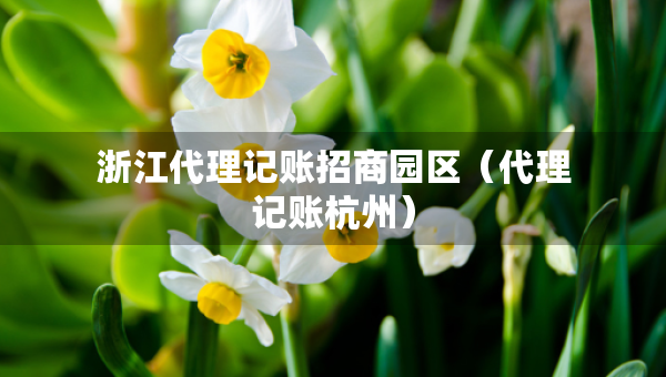 浙江代理记账招商园区（代理记账杭州）