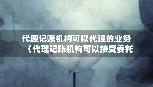 代理记账机构可以代理的业务（代理记账机构可以接受委托办理哪些业务）