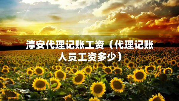 淳安代理记账工资（代理记账人员工资多少）