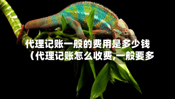 代理记账一般的费用是多少钱（代理记账怎么收费,一般要多少钱）
