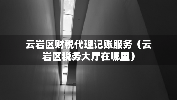 云岩区财税代理记账服务（云岩区税务大厅在哪里）