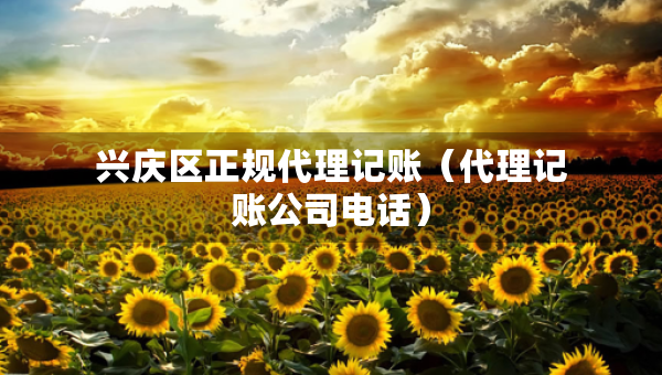 兴庆区正规代理记账（代理记账公司电话）