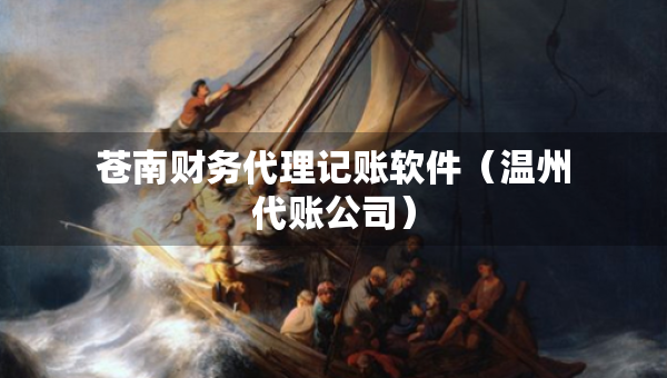 苍南财务代理记账软件（温州代账公司）