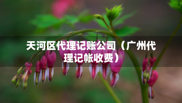 天河区代理记账公司（广州代理记帐收费）