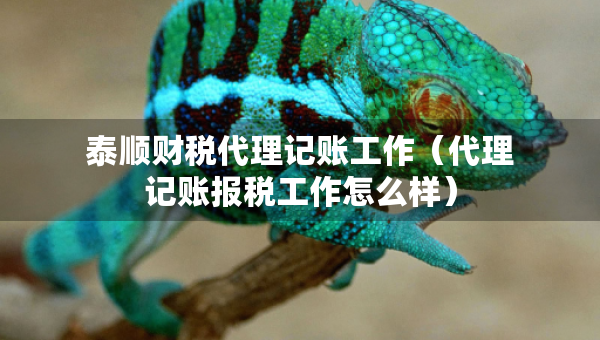 泰顺财税代理记账工作（代理记账报税工作怎么样）