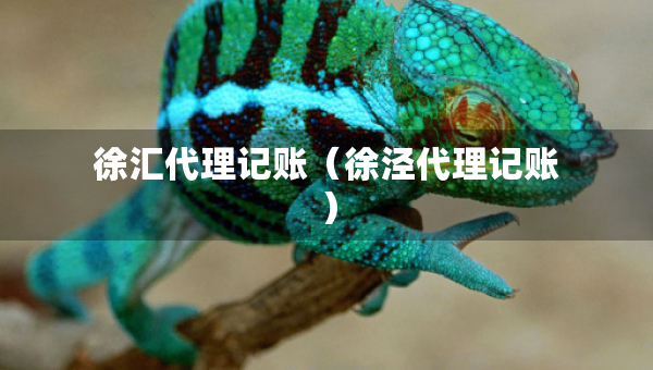 徐汇代理记账（徐泾代理记账）