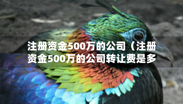 注册资金500万的公司（注册资金500万的公司转让费是多少）