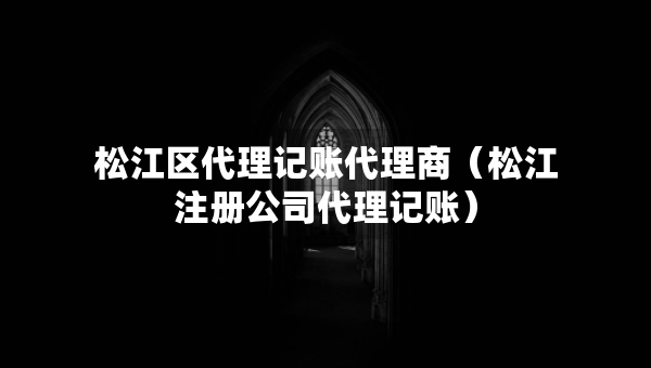 松江区代理记账代理商（松江注册公司代理记账）