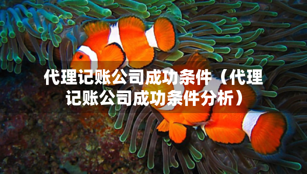 代理记账公司成功条件(代理记账公司成功条件分析) 代理记账公司成功条件(代理记账公司成功条件分析)