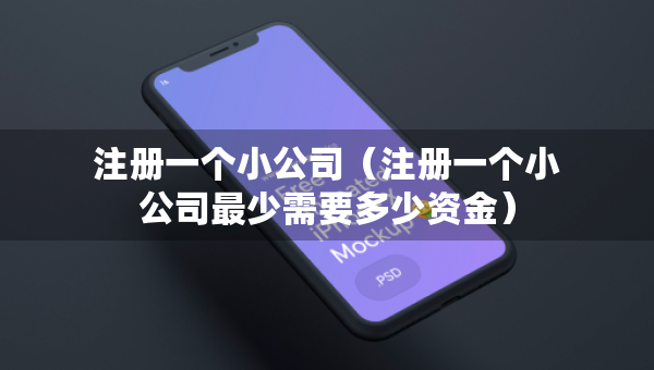 注册一个小公司（注册一个小公司最少需要多少资金）