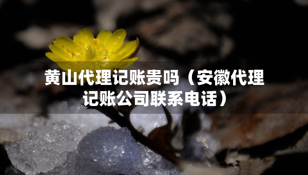 黄山代理记账贵吗（安徽代理记账公司联系电话）