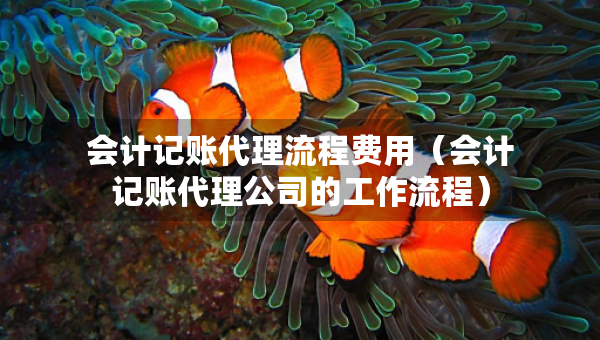 会计记账代理流程费用（会计记账代理公司的工作流程）