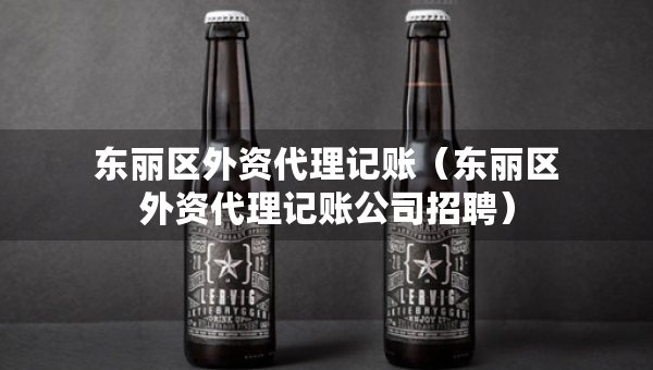 东丽区外资代理记账（东丽区外资代理记账公司招聘）